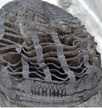 Load image into Gallery viewer, image_6